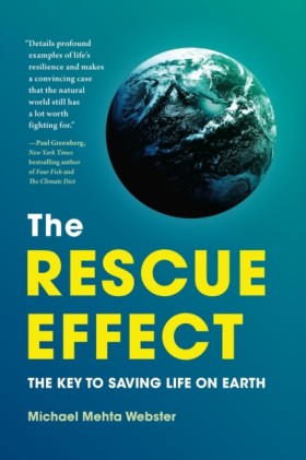 The Rescue …