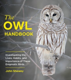 The Owl Ha &hellip;