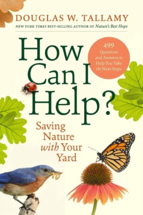 How Can I …