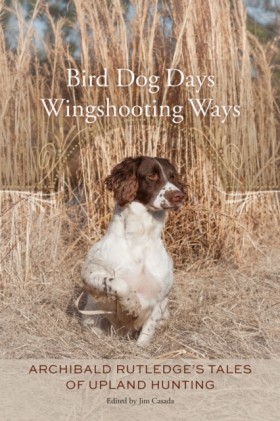 Bird Dog D &hellip;