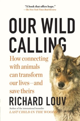Our Wild C &hellip;