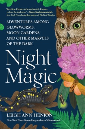 Night Magi &hellip;