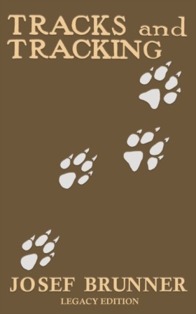 Tracks and …