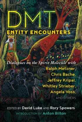 DMT Entity &hellip;