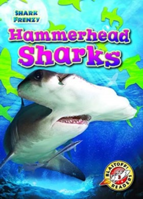 Hammerhead …