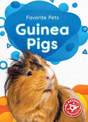Guinea Pig &hellip;