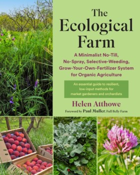 The Ecolog …