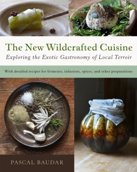 The New Wi &hellip;