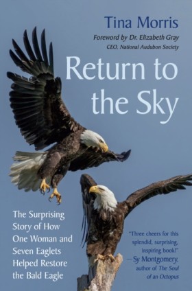 Return to …