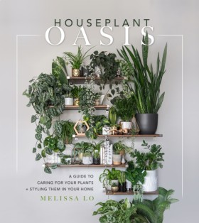 Houseplant …