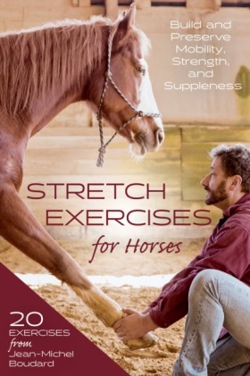 Stretch Ex &hellip;