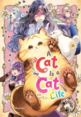 A Cat Is a …