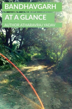 Bandhavgar …
