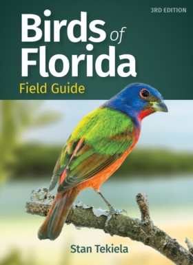 Birds of F &hellip;