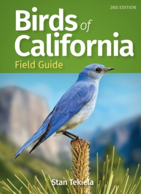 Birds of C &hellip;