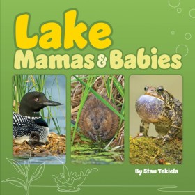 Lake Mamas &hellip;