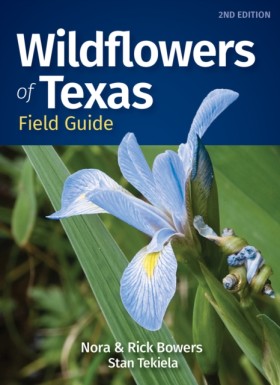 Wildflower …