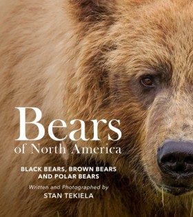 Bears of N &hellip;