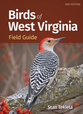 Birds of W &hellip;