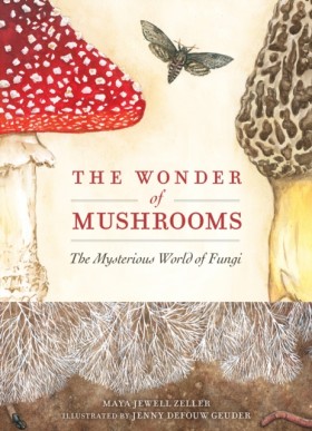 The Wonder &hellip;
