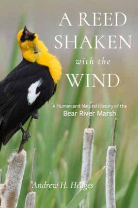 A Reed Sha …