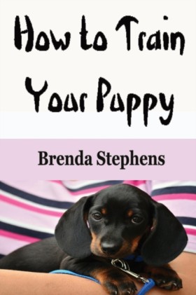 How to Tra &hellip;