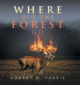 Where Did …