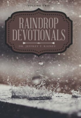 Raindrop D &hellip;