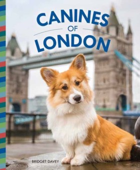 Canines of &hellip;