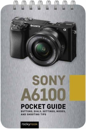 Sony a6100 …