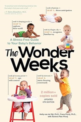 The Wonder &hellip;