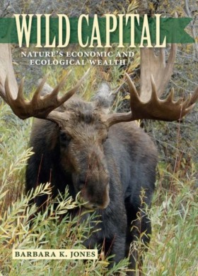 Wild Capit &hellip;