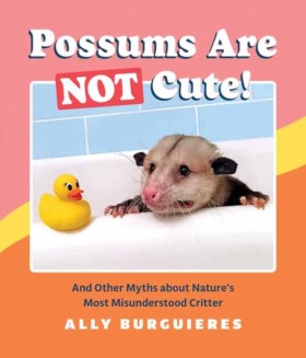 Possums Ar &hellip;
