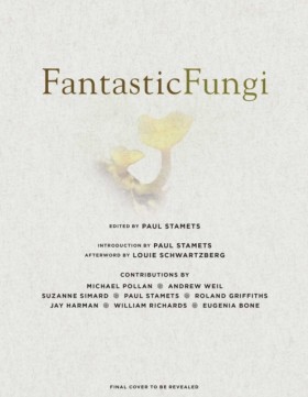 Fantastic …