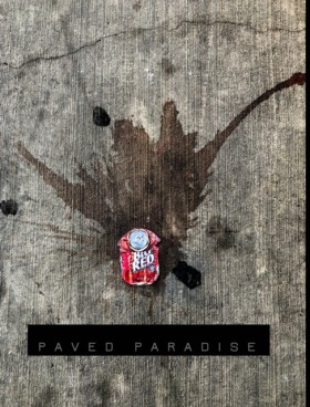 Paved Para …