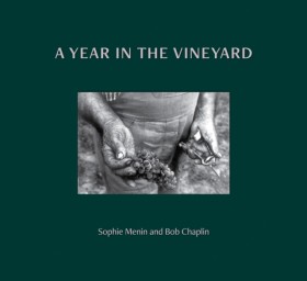 A Year in …