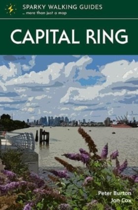 Capital Ri …