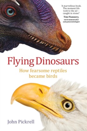 Flying Din …