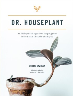 Dr. Housep &hellip;