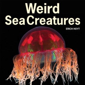 Weird Sea …