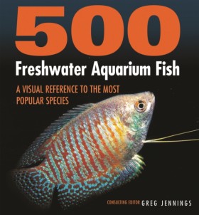 500 Freshw &hellip;