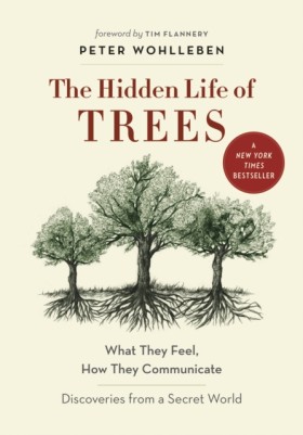 The Hidden …