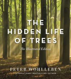 The Hidden …