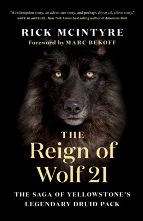 The Reign &hellip;