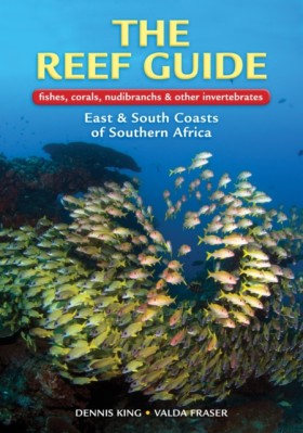 The Reef G …