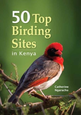50 Top Bir …