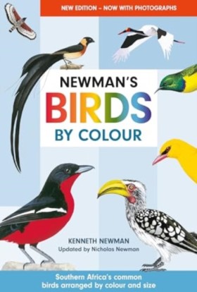Newmans Bi …