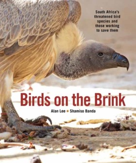 Birds on t &hellip;