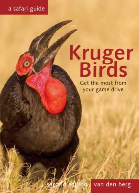 Kruger Bir &hellip;