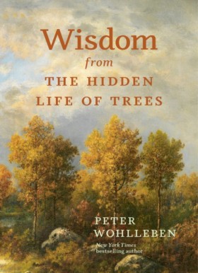 Wisdom fro &hellip;